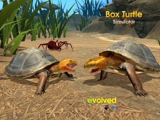 Изображение игры: Box Turtle Simulator