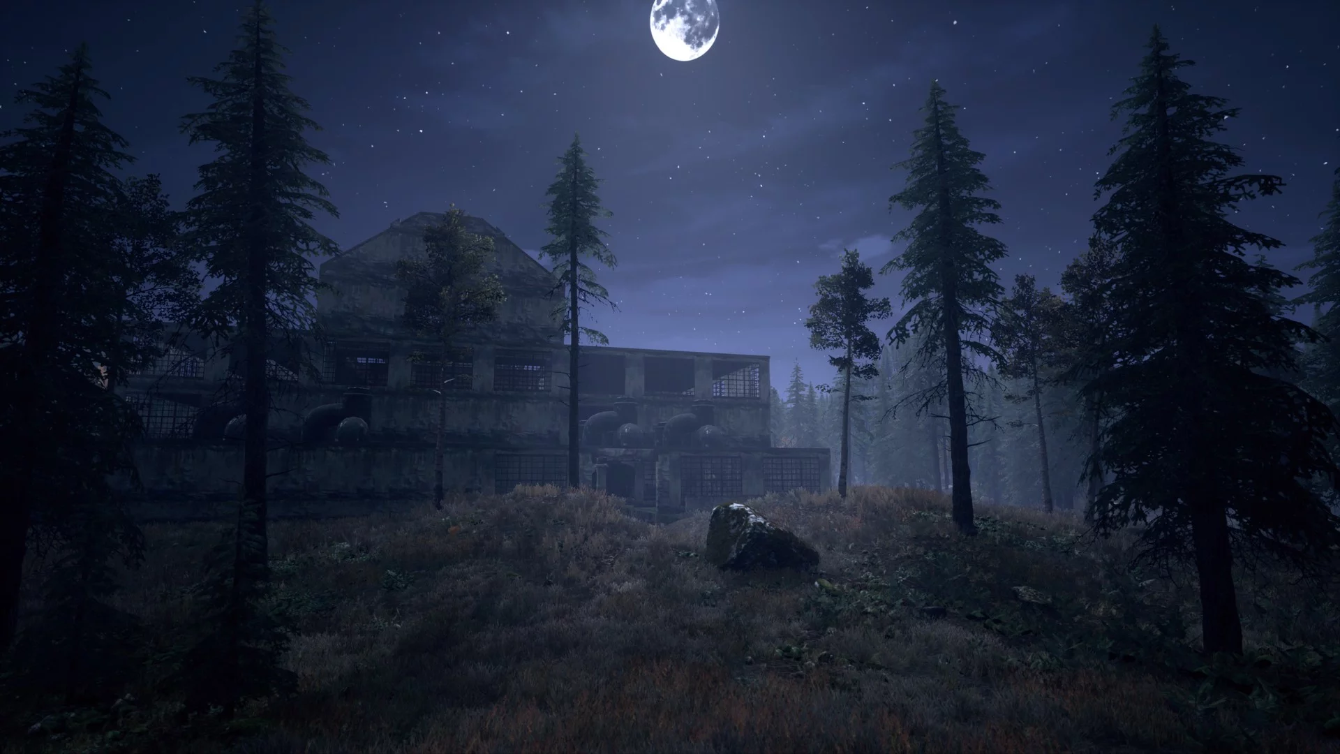 Изображение игры: Nightwalker