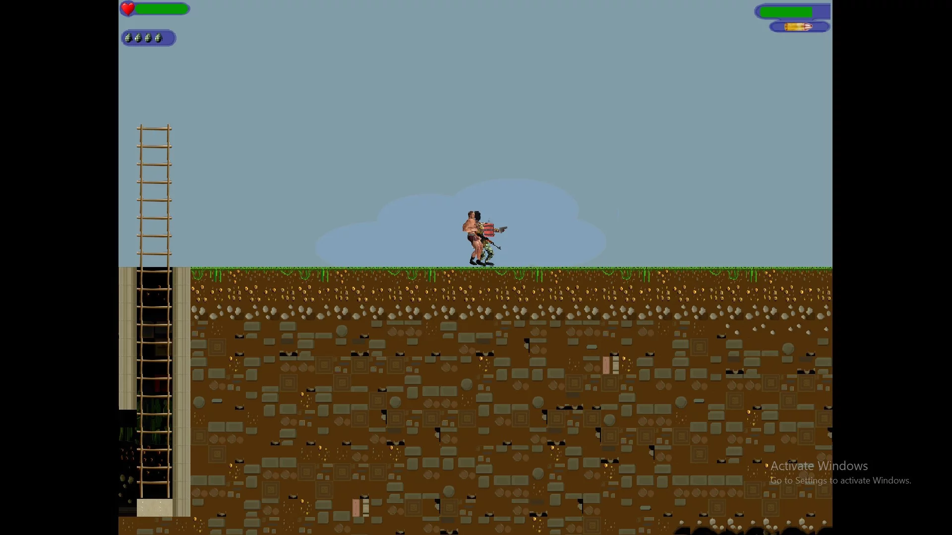 Изображение игры: Freedom! Do or Die