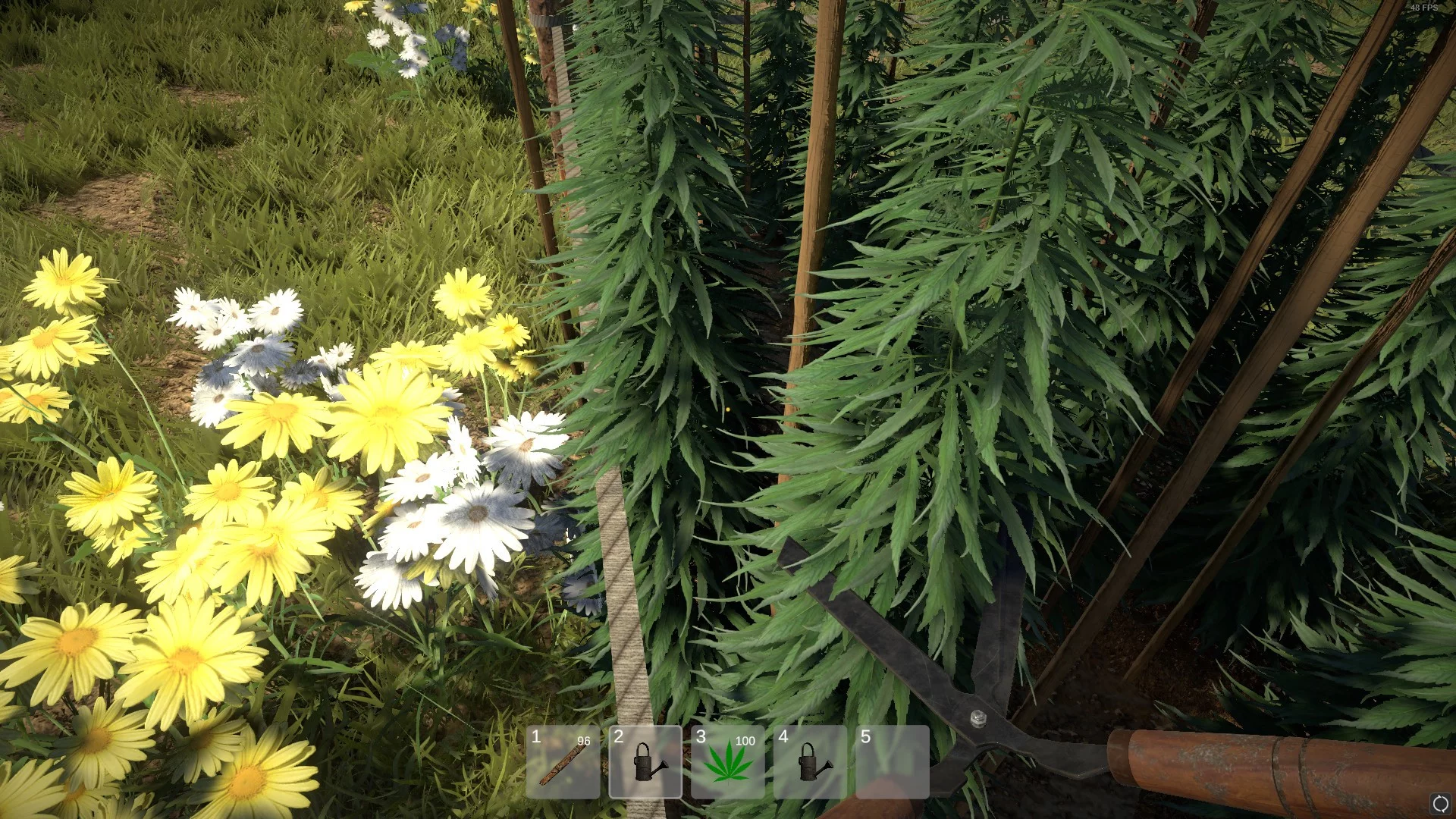 Изображение игры: Weed Farmer Simulator
