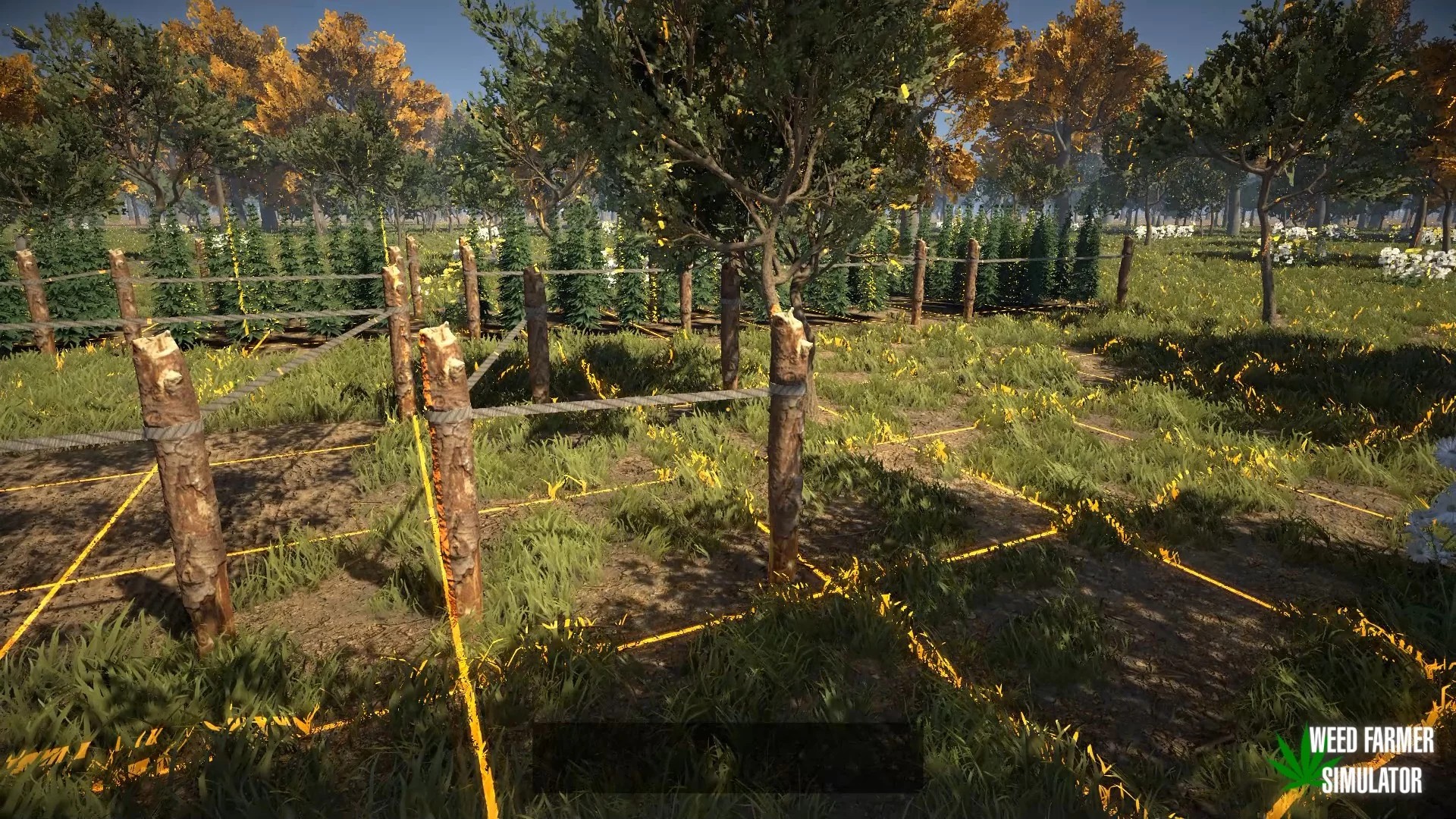 Изображение игры: Weed Farmer Simulator