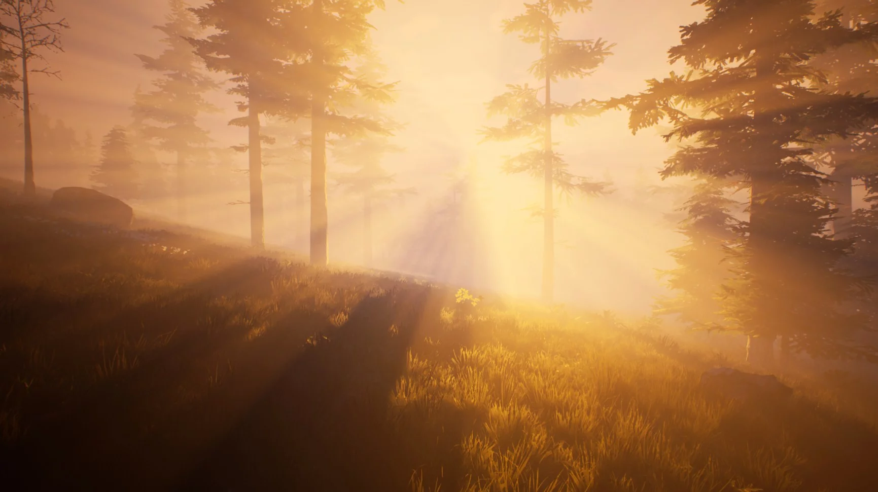 Изображение игры: Fallen Region