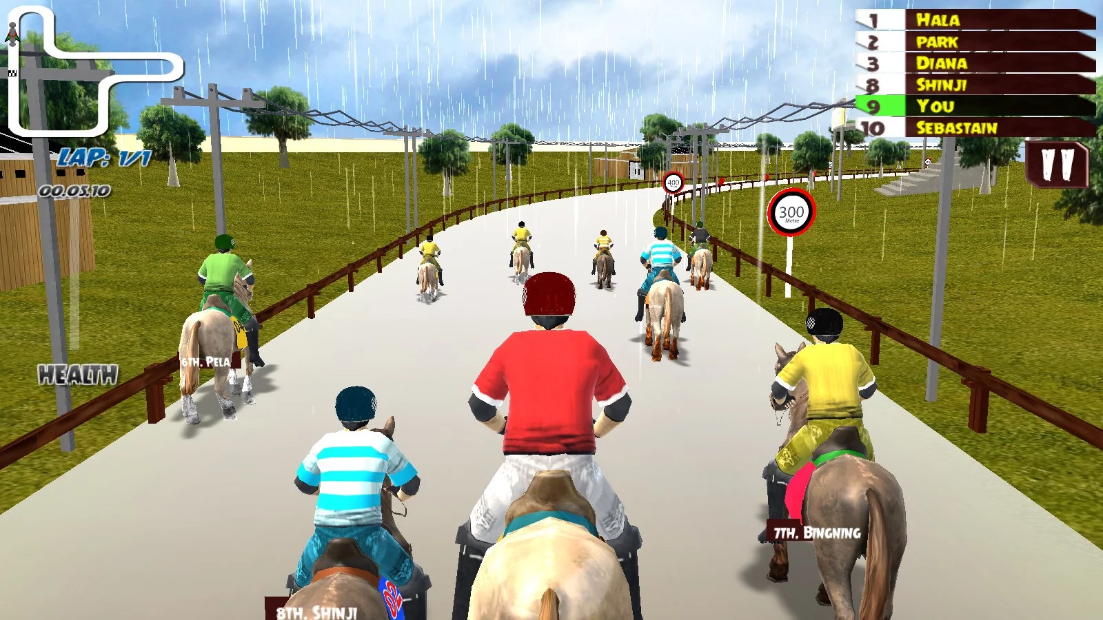 Изображение игры: Horse Racing Rally