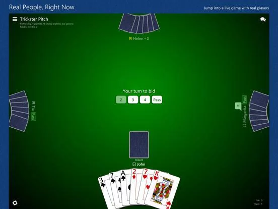Изображение игры: Trickster Pitch