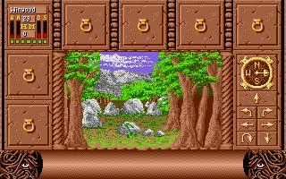 Изображение игры: Fate: Gates of Dawn