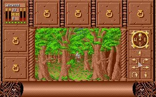 Изображение игры: Fate: Gates of Dawn