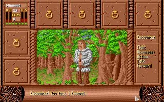 Изображение игры: Fate: Gates of Dawn