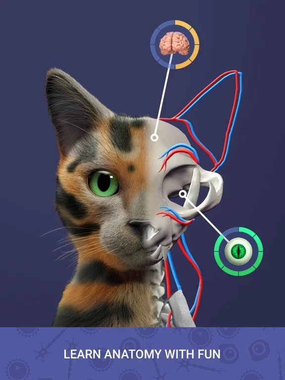 Изображение игры: Idle Pet - Create cell by cell