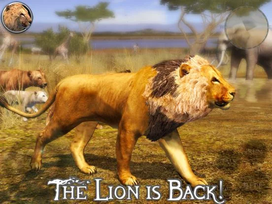 Изображение игры: Ultimate Lion Simulator 2