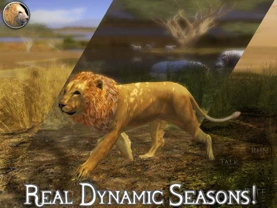Изображение игры: Ultimate Lion Simulator 2