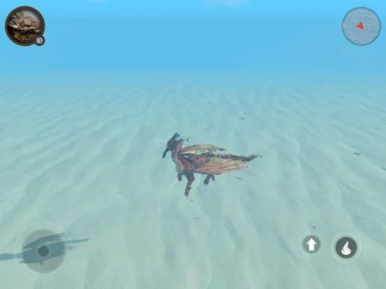 Изображение игры: Flying Dragon's Life Simulator