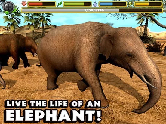 Изображение игры: Elephant Simulator