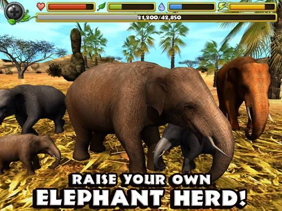 Изображение игры: Elephant Simulator