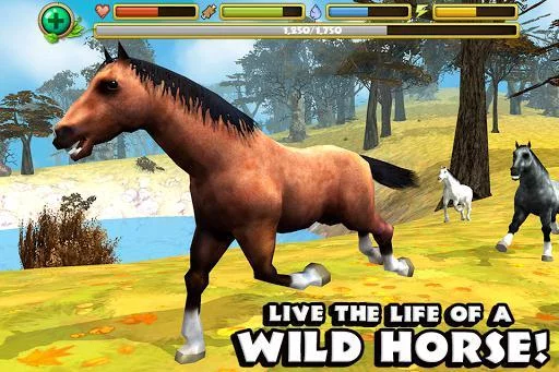 Изображение игры: Wild Horse Simulator