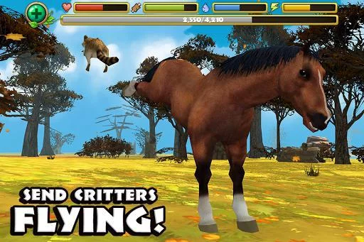 Изображение игры: Wild Horse Simulator