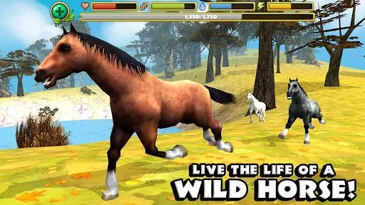Изображение игры: Wild Horse Simulator