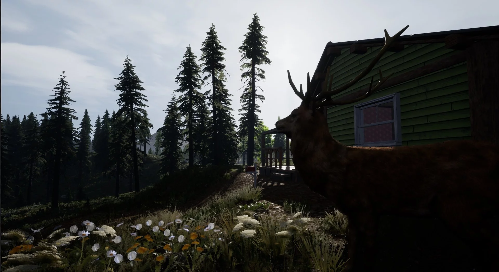 Изображение игры: REBORN: Survival