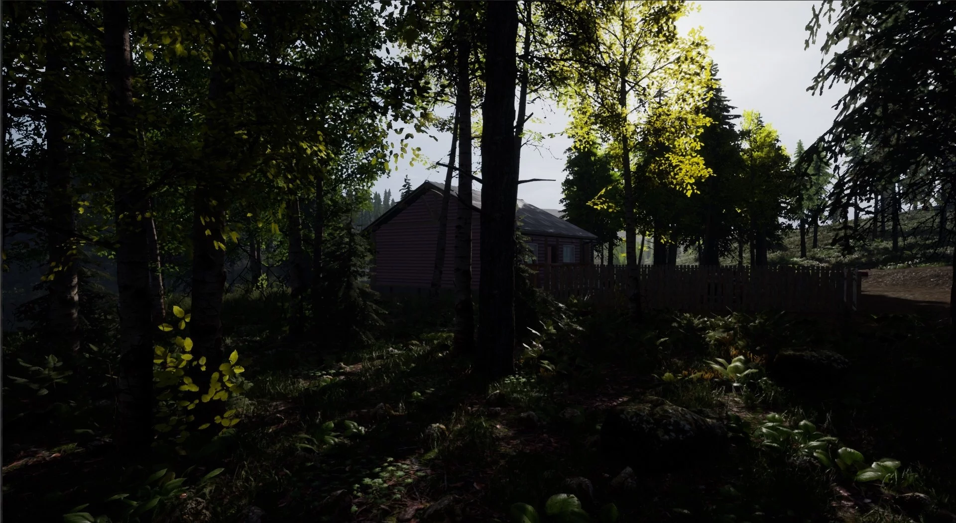 Изображение игры: REBORN: Survival