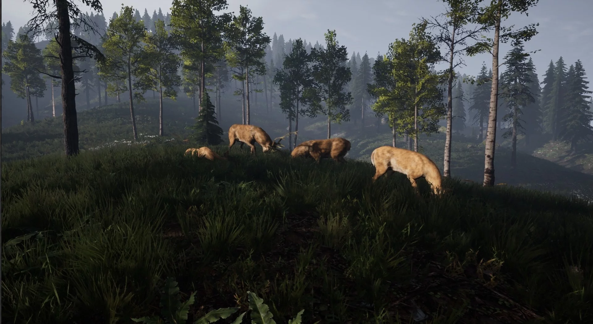 Изображение игры: REBORN: Survival
