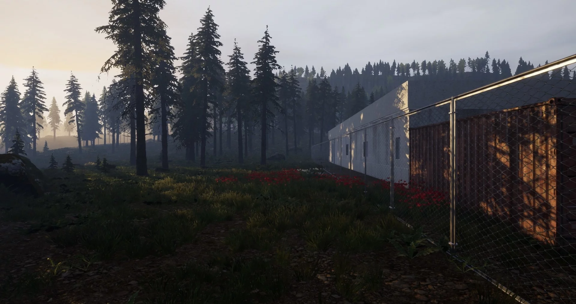 Изображение игры: REBORN: Survival
