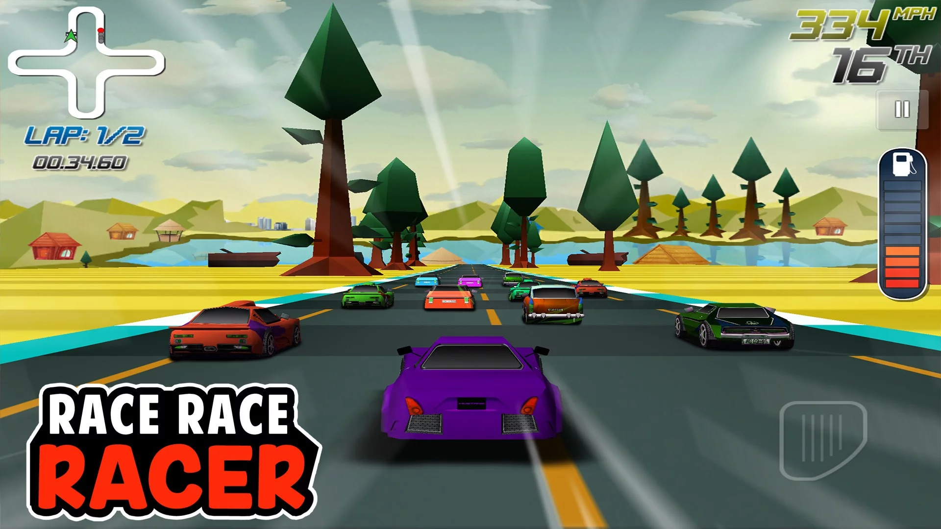 Изображение игры: Race Race Racer