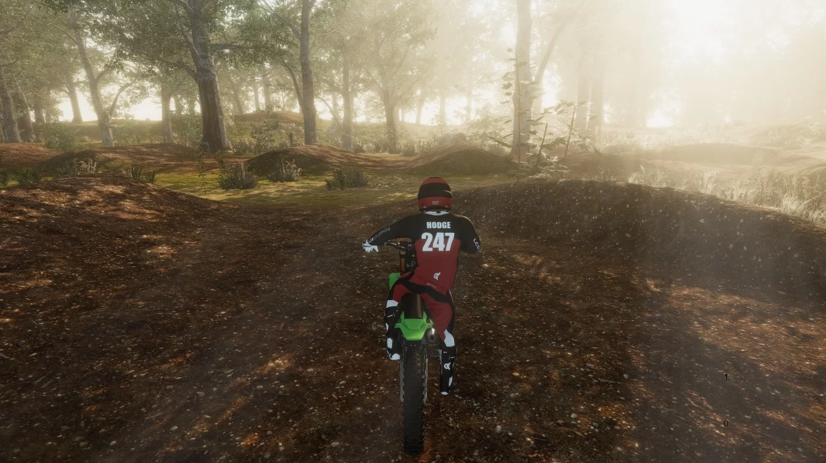 Изображение игры: Motocross: Chasing the Dream