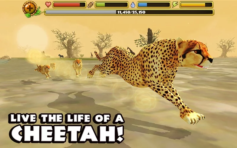 Изображение игры: Cheetah Simulator