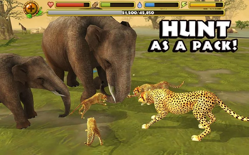 Изображение игры: Cheetah Simulator