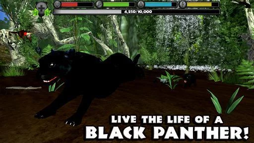 Изображение игры: Panther Simulator