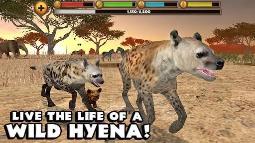 Изображение игры: Hyena Simulator
