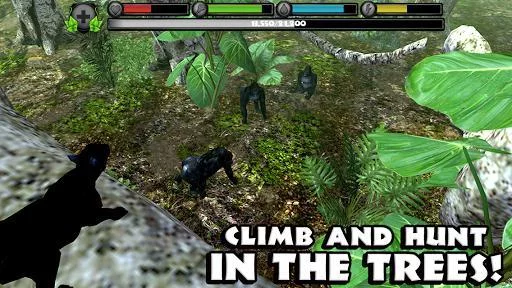 Изображение игры: Panther Simulator