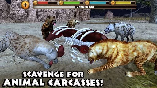 Изображение игры: Hyena Simulator