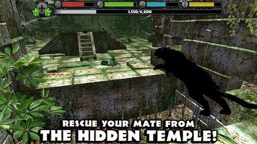 Изображение игры: Panther Simulator