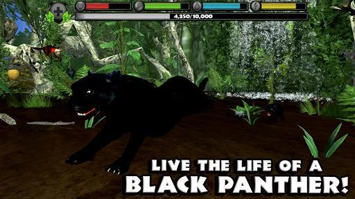 Изображение игры: Panther Simulator