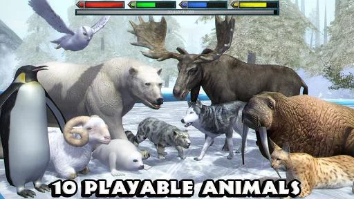 Изображение игры: Ultimate Arctic Simulator