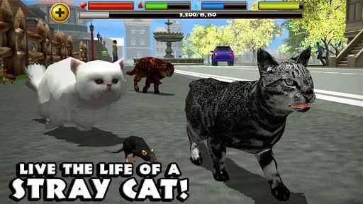 Изображение игры: Stray Cat Simulator