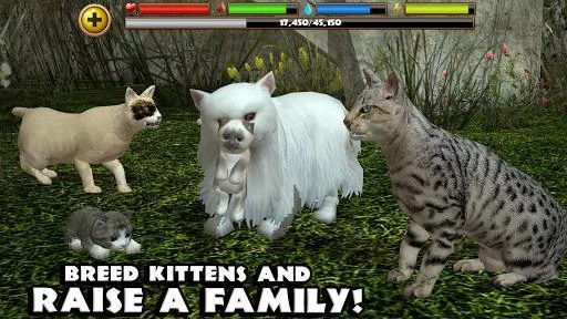 Изображение игры: Stray Cat Simulator