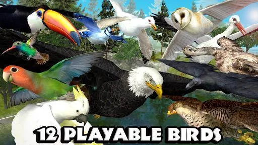 Изображение игры: Ultimate Bird Simulator