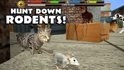 Изображение игры: Stray Cat Simulator