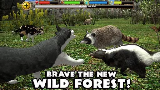 Изображение игры: Stray Cat Simulator