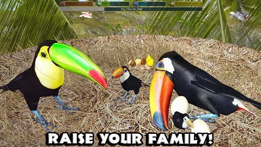 Изображение игры: Ultimate Bird Simulator
