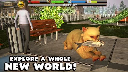 Изображение игры: Stray Cat Simulator