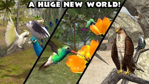 Изображение игры: Ultimate Bird Simulator