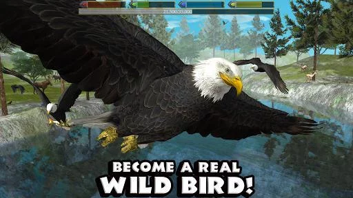 Изображение игры: Ultimate Bird Simulator