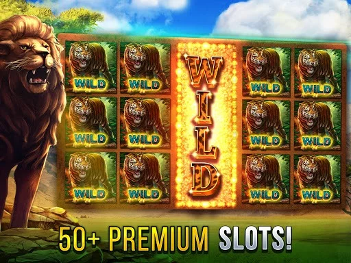 Изображение игры: Cats Slot Machines