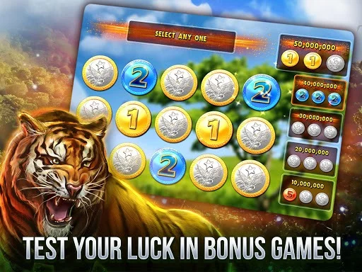 Изображение игры: Cats Slot Machines