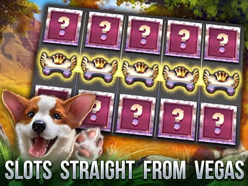Изображение игры: Cats Slot Machines
