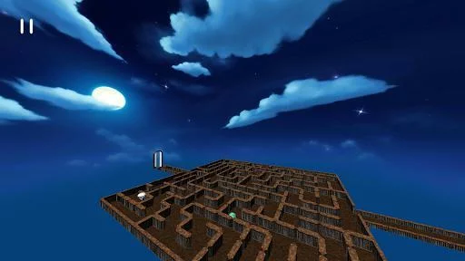 Изображение игры: Labyrinth Maze