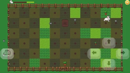 Изображение игры: Bunny Poop
