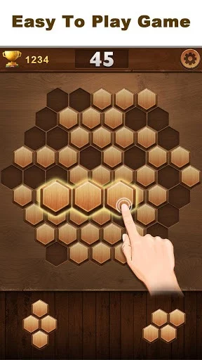 Изображение игры: Wood Block Hexagon